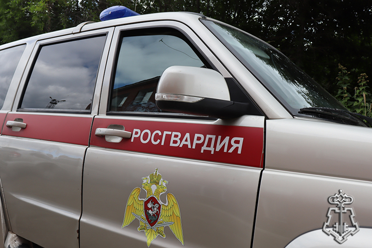 БОЛЕЕ 250 РАЗ ЗА НЕДЕЛЮ РОСГВАРДЕЙЦЫ В ВОРОНЕЖСКОЙ ОБЛАСТИ ВЫЕЗЖАЛИ ПО СИГНАЛУ «ТРЕВОГА»