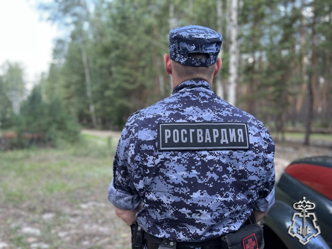 БОЛЕЕ 290 РАЗ ЗА НЕДЕЛЮ РОСГВАРДЕЙЦЫ В ВОРОНЕЖСКОЙ ОБЛАСТИ ВЫЕЗЖАЛИ ПО СИГНАЛУ «ТРЕВОГА»