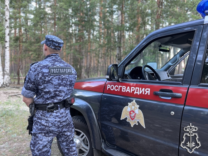 БОЛЕЕ 200 РАЗ ЗА НЕДЕЛЮ РОСГВАРДЕЙЦЫ В ВОРОНЕЖСКОЙ ОБЛАСТИ ВЫЕЗЖАЛИ ПО СИГНАЛУ «ТРЕВОГА»