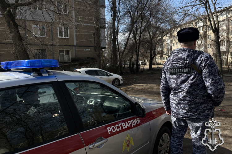 БОЛЕЕ 270 РАЗ ЗА НЕДЕЛЮ РОСГВАРДЕЙЦЫ В ВОРОНЕЖСКОЙ ОБЛАСТИ ВЫЕЗЖАЛИ ПО СИГНАЛУ «ТРЕВОГА»