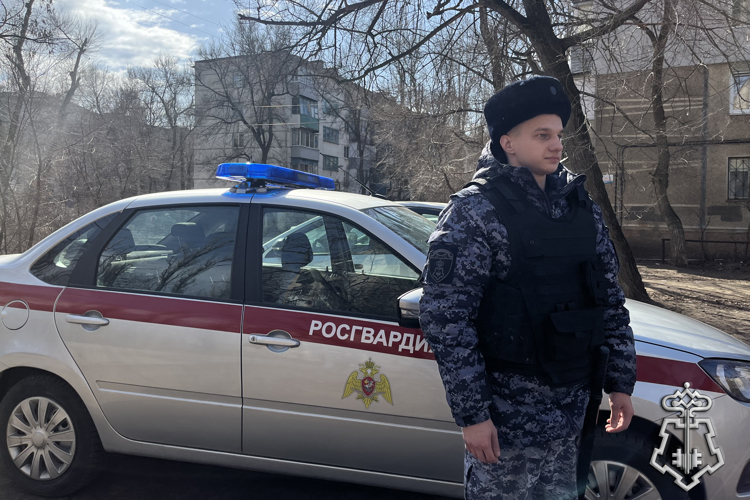 БОЛЕЕ 240 РАЗ ЗА НЕДЕЛЮ РОСГВАРДЕЙЦЫ В ВОРОНЕЖСКОЙ ОБЛАСТИ ВЫЕЗЖАЛИ ПО СИГНАЛУ «ТРЕВОГА»