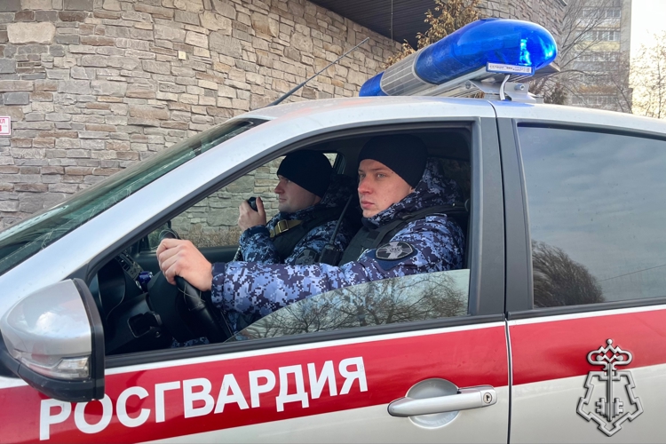 БОЛЕЕ 250 РАЗ ЗА НЕДЕЛЮ РОСГВАРДЕЙЦЫ В ВОРОНЕЖСКОЙ ОБЛАСТИ ВЫЕЗЖАЛИ ПО СИГНАЛУ «ТРЕВОГА»