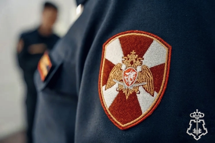С НАЧАЛА ГОДА ВОРОНЕЖСКИЕ РОСГВАРДЕЙЦЫ СОГЛАСОВАЛИ СВЫШЕ 700 ПАСПОРТОВ БЕЗОПАСНОСТИ